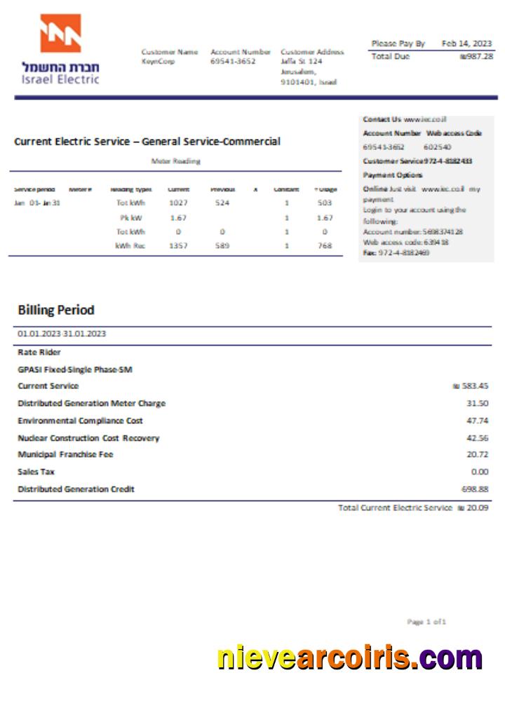 Electric Corporation utility business bill